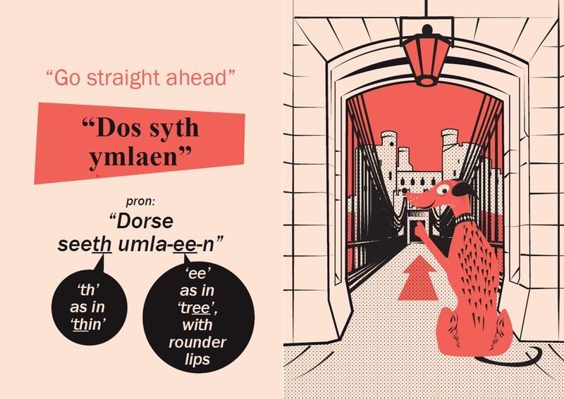 Bestselling dog phrasebook now available in North Wales Welsh